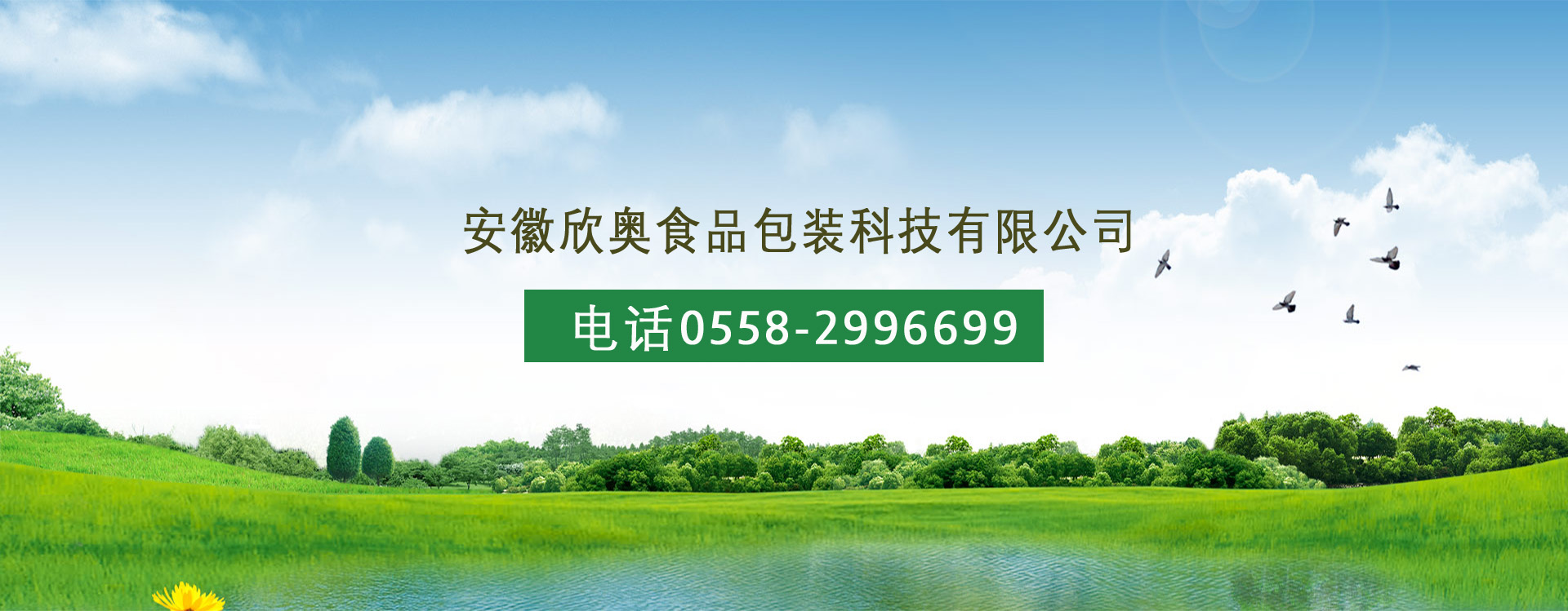 安徽欣奧食品包裝科技有限公司